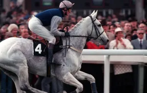 Images Dated 17th March 1990: Desert Orchid leads the field in the 1990 Cheltenham Gold Cup race. 17th March 1990