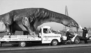 A dinosaur on the move in Essex. A 16 foot high and 45 foot long Cetiosaurus A dinosaur on the move in Essex. A 16 foot high and 45 foot long Cetiosaurus