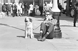Images Dated 27th March 1973: The dog that has to yawn to order. March 27th 1973 An audition took place in Broad