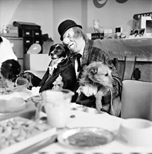 Images Dated 9th December 1970: Dogs Christmas Party. Hobo plays host to the doggy guests enjoying a menu of