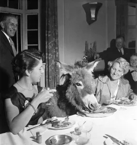 Donkey Club dinner, Wivelsfield Mrs. Amelia James and 'Tom Thumb' the donkey Donkey Club dinner, Wivelsfield Mrs. Amelia James and 'Tom Thumb' the donkey