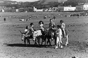 Donkey rides on Llandudno beach. 30th August 1989
