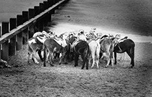 Images Dated 1st July 1978: The donkeys on Rhyl beach seen here feeding during a break. July 1978