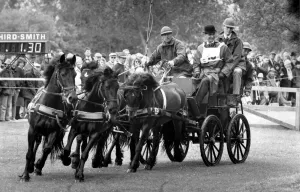 The Duke of Edinburgh, Prince Philip at the Royal Windsor Horse Show. - 16 May 1989 The Duke of Edinburgh, Prince Philip at the Royal Windsor Horse Show. - 16 May 1989