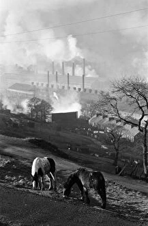 Fob1971 Gallery: Ebbw Vale, Wales. Horses graze on the hillside with the British Steelworks of Ebbw Vale