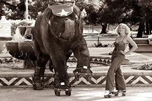 Elephant on rollerskates with a woman standing with her hands on her hips