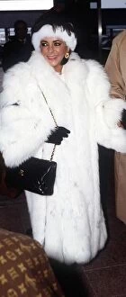Images Dated 13th January 1987: Elizabeth Taylor Jan 1987 wearing White Fur coat at Heathrow Airport