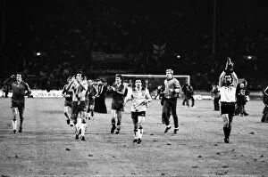 Images Dated 18th November 1981: England v Hungary, final score 1-0 to England. FIFA World Cup Group 4