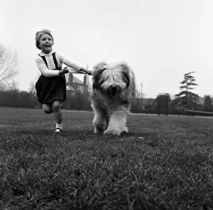 English sheepdog Bobby Bingo and his four year old playmate Caroline Sheldrake English sheepdog Bobby Bingo and his four year old playmate Caroline Sheldrake