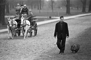 Images Dated 17th March 1987: Not an everyday sight. A man walks his pig in Hyde Park as a horse