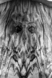 Face on side of wardrobe owned by Sheila Edwards from Deeping St James in Lincolnshire Face on side of wardrobe owned by Sheila Edwards from Deeping St James in Lincolnshire