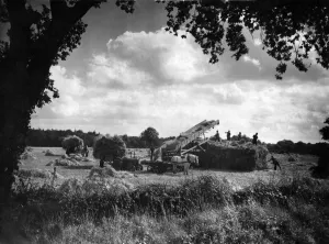 Farming: Harvest. Stacking corn in Norfolk. September 1946 P004477 Farming: Harvest. Stacking corn in Norfolk. September 1946 P004477