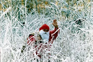 Father Christmas waves as he stand amongst snow covered plants December 1991 Father Christmas waves as he stand amongst snow covered plants December 1991
