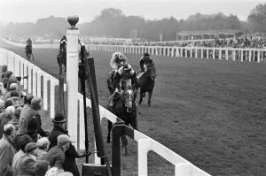 First Day at Royal Ascot, Tuesday 14th June 2019. Our Picture Shows First Day at Royal Ascot, Tuesday 14th June 2019. Our Picture Shows