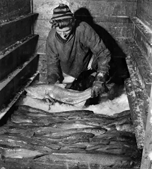 A fisherman with his catch December 1968 P009119 A fisherman with his catch December 1968 P009119