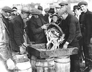 Fishermen on Brixham quay landing their catch. 18thNovember 1940 Fishermen on Brixham quay landing their catch. 18thNovember 1940