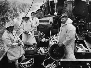 Images Dated 6th September 1971: Fishing Industry. Skipper Pashhby with his crew aboard the Elizabeth'