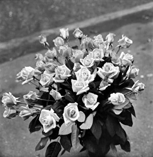 Flowers - Bunch of 'Roses'. January 1975 75-00040