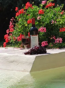 Food and Drink Bottle of Italian Red Wine from Umbria with Grapes and Glass Food and Drink Bottle of Italian Red Wine from Umbria with Grapes and Glass