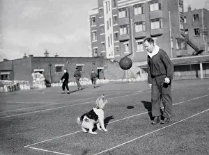 Football Freddie Steele ( Port Vale ) ex Mansfield Manager seen here Football Freddie Steele ( Port Vale ) ex Mansfield Manager seen here