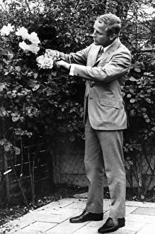 Footballer Alex Young pruning roses at his home Aughton. Circa 1968 Footballer Alex Young pruning roses at his home Aughton. Circa 1968
