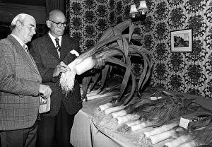 Images Dated 22nd August 1981: Fred Edwards, left, and Bill Bell judge the leeks during a gardening show held at The