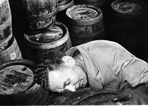 Fred Wycherley official smeller at a brewery in Wolverhampton Staffordshire checking for Fred Wycherley official smeller at a brewery in Wolverhampton Staffordshire checking for