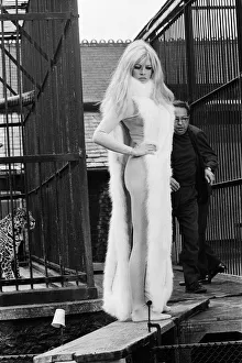 Behind Brigitte Bardot レコード Behind Brigitte Bardot(LP)/PETE RUGOLO/ピート・ルゴロ｜JAZZ