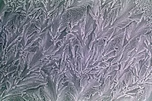 Frost Effects May 1976