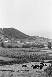 Images Dated 21st July 1986: General Views of Terceira Island, in the Azores archipelago, North Atlantic