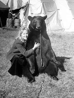 00074 Gallery: Gentle giant Odin the bear