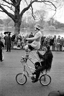 Images Dated 30th March 1975: Gentleman in fancy dress seen here riding an unusual tandam bicycle in the Easter parade