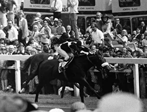 Geoff Lewis jockey on Mill Reef wins The Derby from Linden Tree at Epsom - June 1971 Geoff Lewis jockey on Mill Reef wins The Derby from Linden Tree at Epsom - June 1971