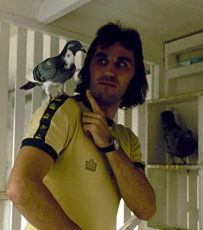 Gerry Francis QPR and England footballer seen here with his racing pigeons. October 1976
