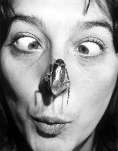 Gillian Langdale gets a close-up view of one of the creepy-crawlies on show at an Gillian Langdale gets a close-up view of one of the creepy-crawlies on show at an