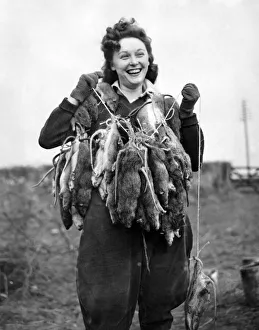 00068 Gallery: Girls of the Womens Land Army (Pests Department) are employed in S