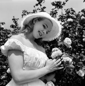 Glamour girl Val Hollman. January 1960 M4307-020 Glamour girl Val Hollman. January 1960 M4307-020