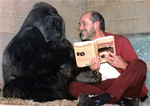 A gorilla takes advice from Mike Colbourne, park keeper for Bristol Zoo A gorilla takes advice from Mike Colbourne, park keeper for Bristol Zoo