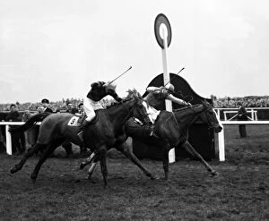 Grand National Gallery: Grand National 1954, won by ROYAL TAN and Bryan Marshall, Aintree, Liverpool