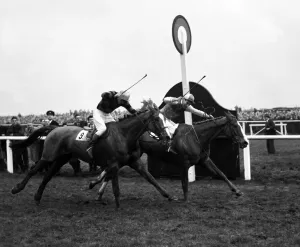 Grand National Gallery: Grand National 1954, won by ROYAL TAN and Bryan Marshall, Aintree, Liverpool