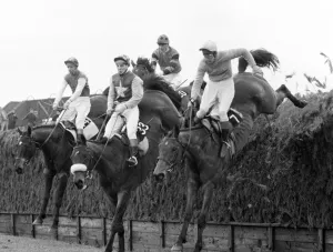 Grand National Gallery: Grand National. Higland Wedding 14 (left) No 33 and Kilburn No 7 on the second