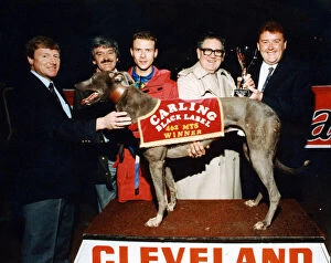 Greyhound 'Movealong Sam'is on the rostrum after winning Cleveland Park'