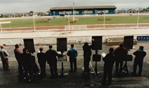 Images Dated 1st June 1995: Greyhound racing at Brough Park, Newcastle. 01 / 06 / 95