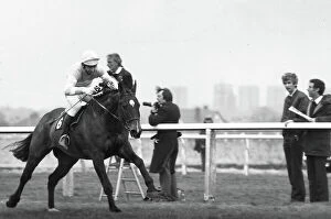 Images Dated 10th May 2012: Grittar ridden by Dick Saunders on the run in at Aintree to become the winner of the 1982