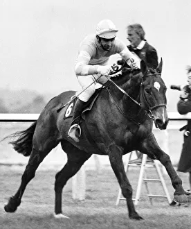 Grand National Gallery: Grittar ridden by Dick Saunders on the run in at Aintree to become the winner of the 1982