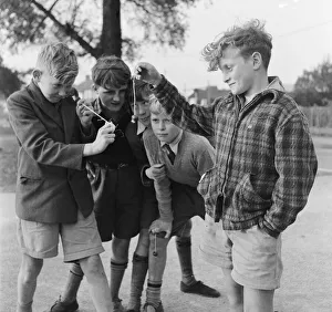 A group of friends taking part in a game of conkers outside their house A group of friends taking part in a game of conkers outside their house