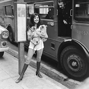 Hammer horror film actress Madeline Smith holds a couple of five week old lion cubs as Hammer horror film actress Madeline Smith holds a couple of five week old lion cubs as