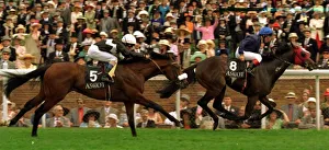 Harbour Master and C Roche Jockey wins the Coventry Stakes at Royal Ascot with Olivier Harbour Master and C Roche Jockey wins the Coventry Stakes at Royal Ascot with Olivier