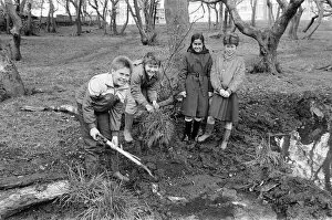 Images Dated 15th May 1986: Hard at work on a new nature reserve are these Reinwood Junior School, Oakes