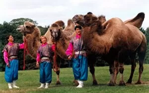 00074 Gallery: Harlequin Circus performers. Left to right; Tugs, Dave and Zula with camels gorby